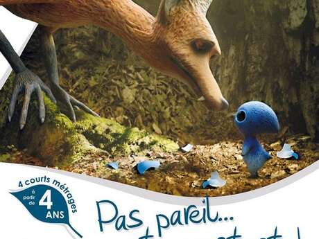 Cinéma - Pas pareil... Et pourtant !