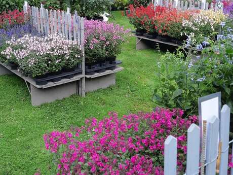 Plantes en Fête