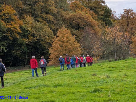 Randonnées du Dimanche