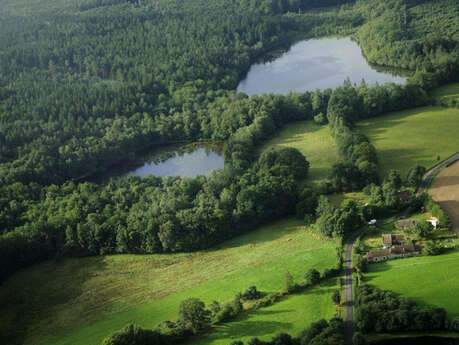 Réserve naturelle régionale de la clairière forestière de Bresolettes