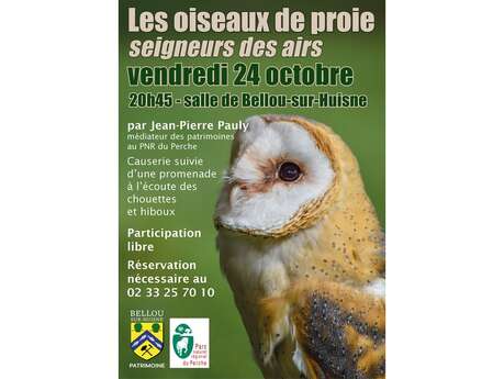 « Les oiseaux de proie, seigneurs des airs »