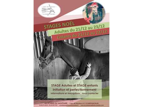 Stages d'équitation aux Écuries du Sagittaire