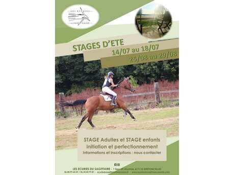 Stage d'équitation aux Écuries du Sagittaire