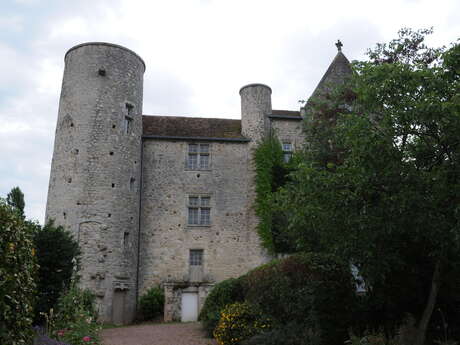 Château de la Mothe