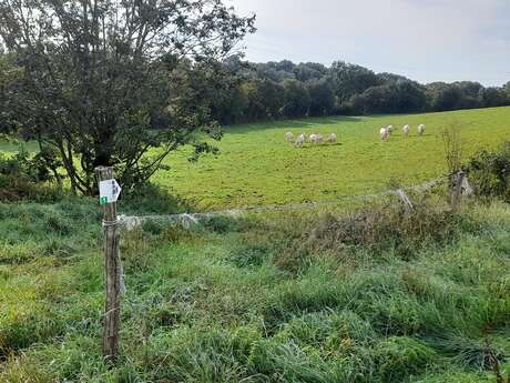 Trail au fil des vallées - parcours 1