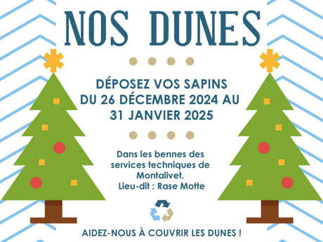 Des sapins pour nos dunes