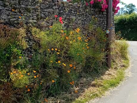 Trail au fil des vallées - parcours 4