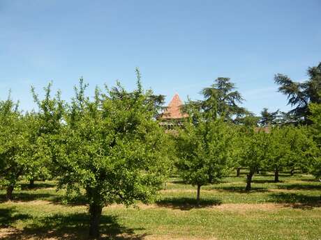 La boutique Escoute