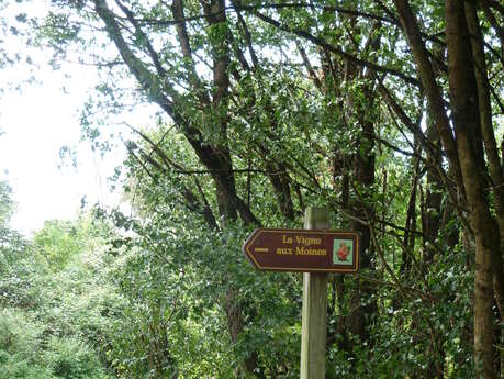 La Vigne aux Moines / Boucle 19