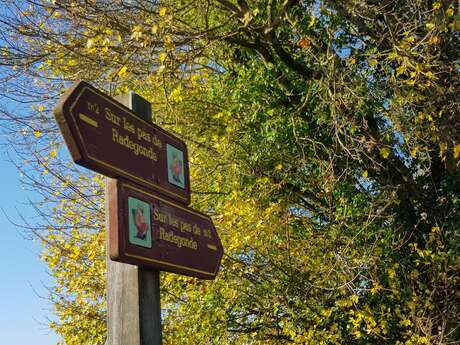 Sur les Pas de Radegonde / Boucle 9