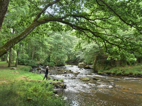 Circuit pédestre n° FC5 De la Gartempe aux Templiers
