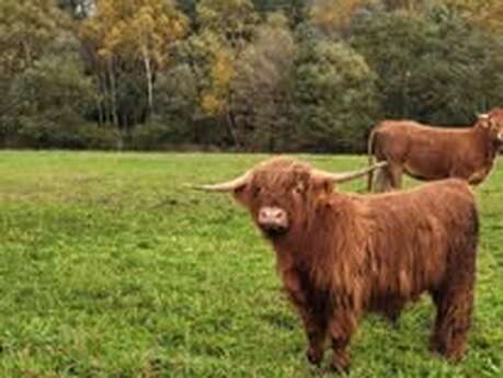 Les explorateurs de la nature