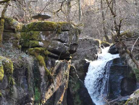 Circuit Pédestre N°67 : "Sentier de découverte de la cascade des Jarrauds"