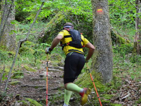 Circuit Trail n°7 : les bois de Sainte Feyre