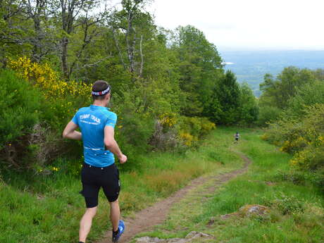 Circuit Trail n°8 : par Monts et Vallons