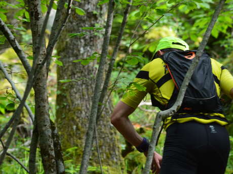 Circuit Trail n°9 : des carrières au Parc Animalier