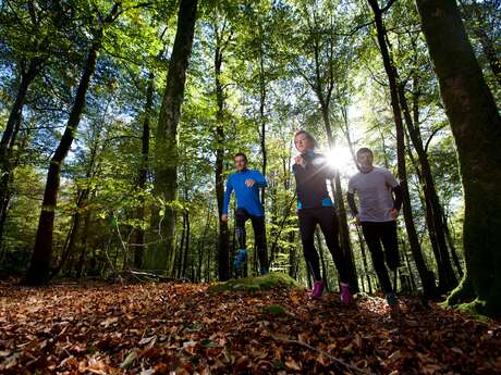 Circuit Trail n°10 : Grand Trail des Monts de Guéret