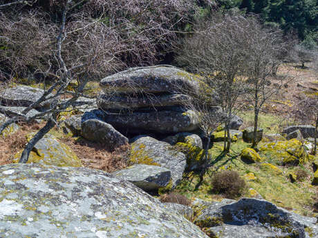 Circuit Trail n°2 : La petite carrière