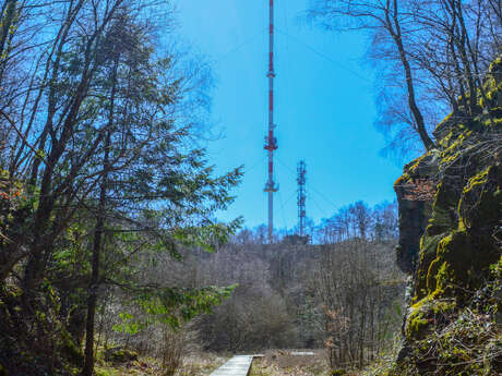 Circuit Trail n°1 : La vergnolle