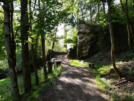 Circuit Pédestre N°42 : "Les gorges du Verger"