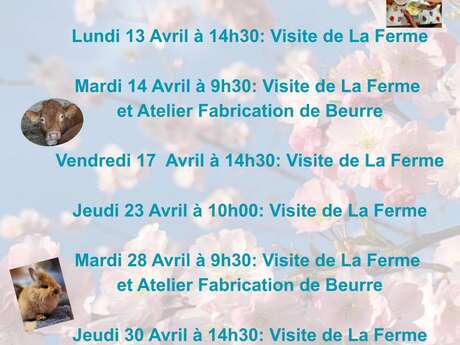 A la rencontre des animaux de la ferme