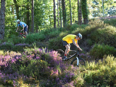 Grande traversée VTT