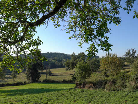 Circuit de randonnée : sentier ONF