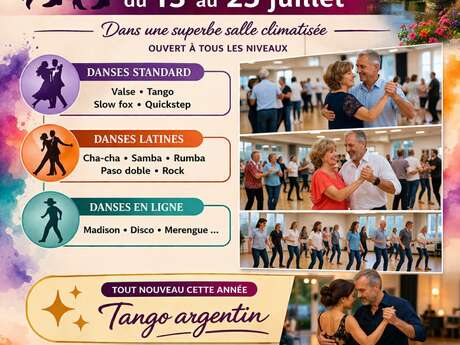 Stage de danses