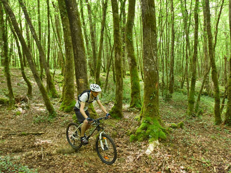 Circuit VTT n°23 - Aux alentours de l'étang de la Chaume