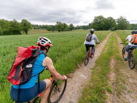 Circuit VTT n°24 - Le chemin du Marchat