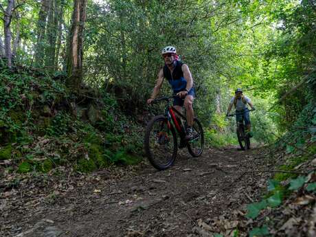 Circuit VTT n°25 - Périple autour de la Chaume