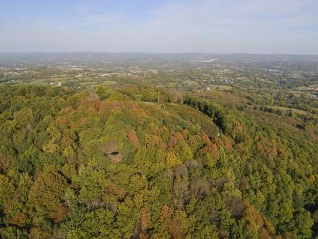 Circuit VTT n°31 Le Puy de Gaudy