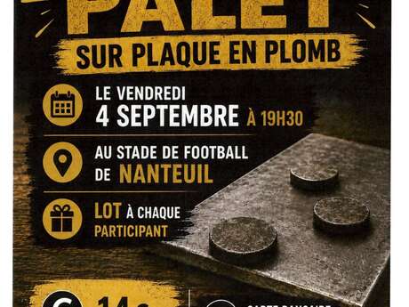 Concours de palets