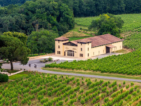 Vignoble des Verdots | Dîner dans les vignes