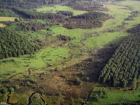 Sentier de découverte des landes et tourbières de la Mazure : Grande boucle