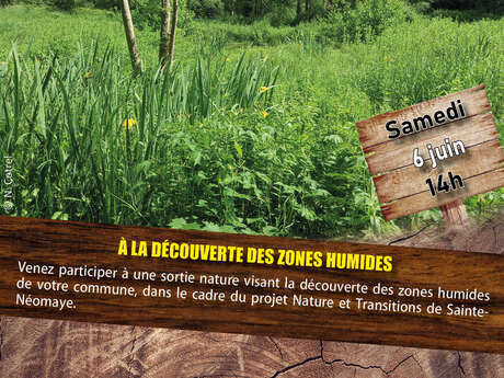Sortie Nature : A la découverte des zones humides