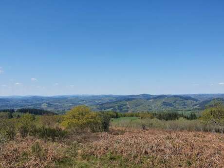 Patrimoine et forêt du Limousin