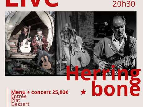Concert Live Herring bone