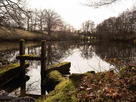 Etangs, châteaux et pâturages