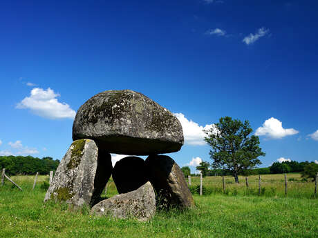 Circuit pédestre n°16 Le dolmen de la Pierre Folle - rando bambin