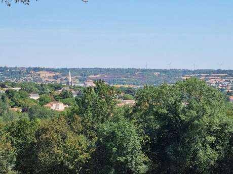 Les chemins creux de Saint-Martin de Saint-Maixent