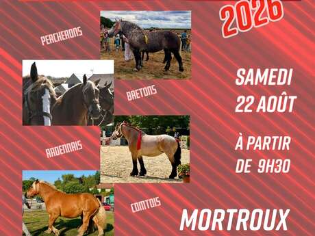 Concours departemental des chevaux de traits