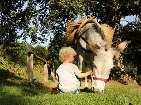 J'apprends à m'occuper de mon âne