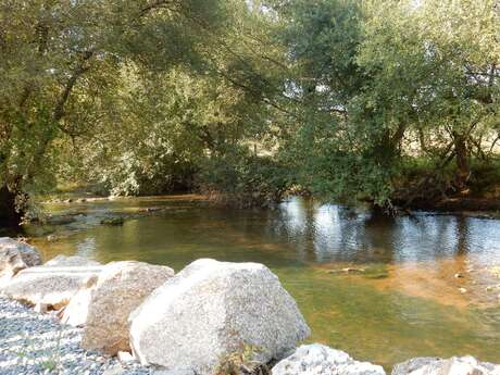 Les Pieds dans l'Eau