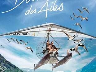 Cinéma de plein air : Donne moi des ailes
