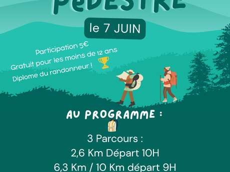 Randonnée pédestre