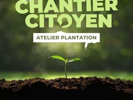 Atelier de formation sur les techniques de plantation