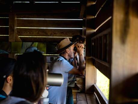Visite guidée ornithologique "Oiseaux d'ici et d'ailleurs"