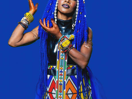 Fatoumata Diawara en concert