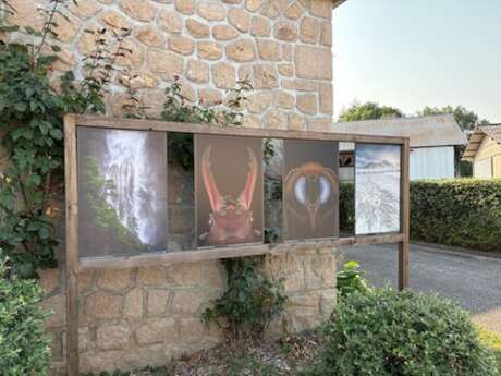 Exposition Egletons Photo Nature